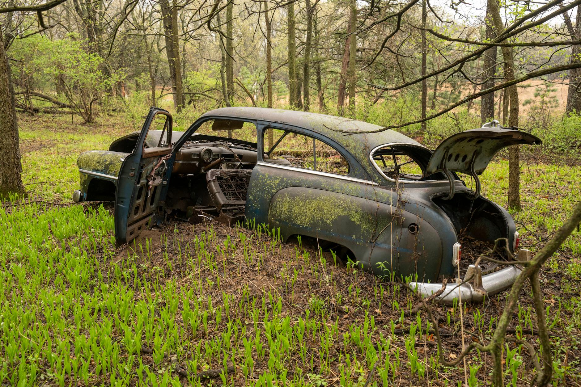 an abandoned car in the forest