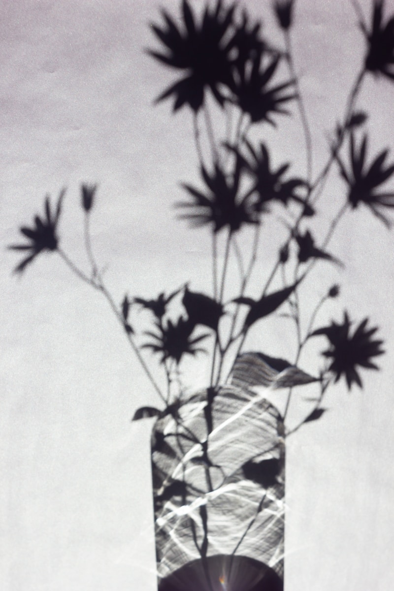 A black and white photo of a vase with flowers in it