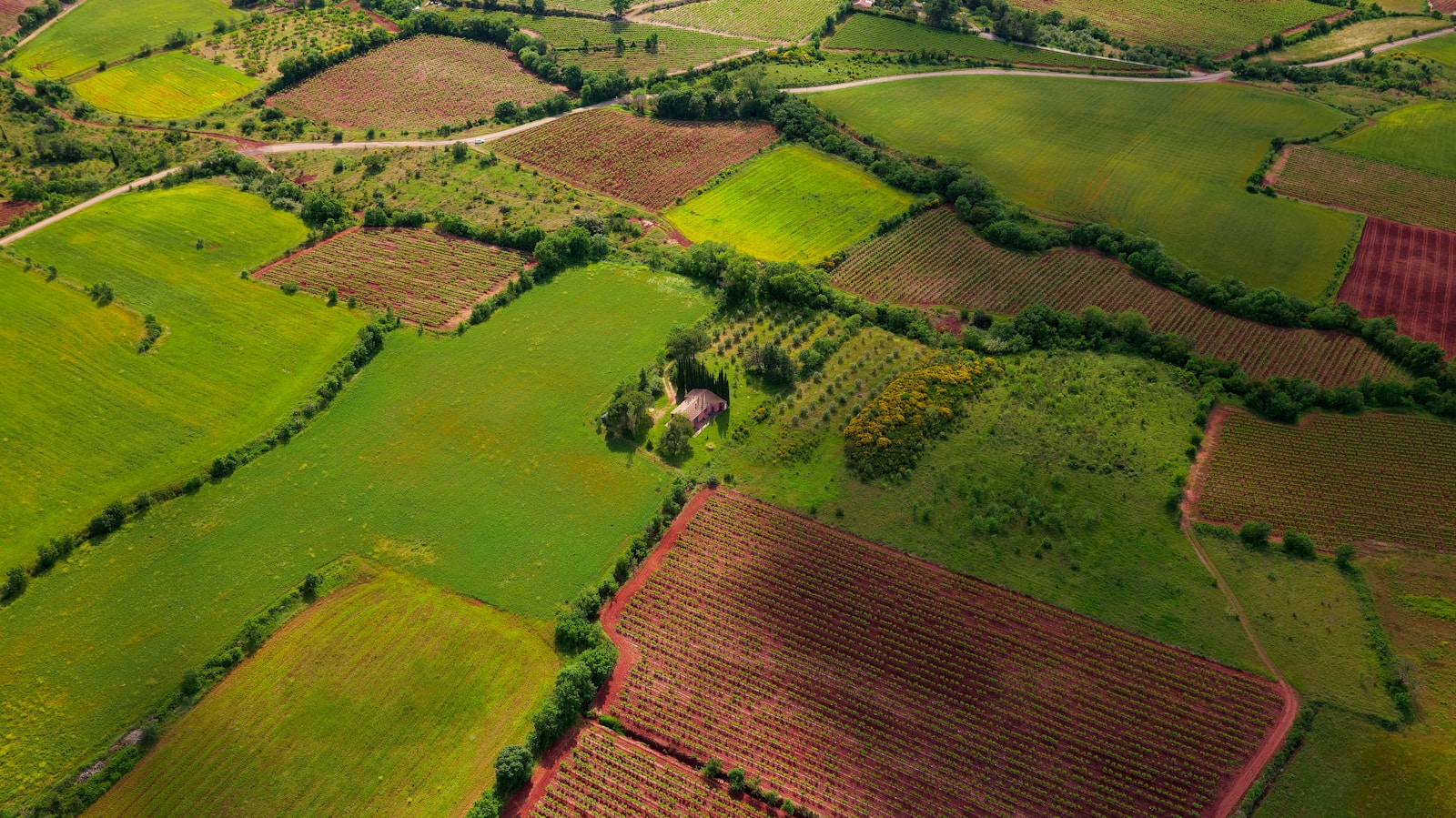 aerial view of green grass field